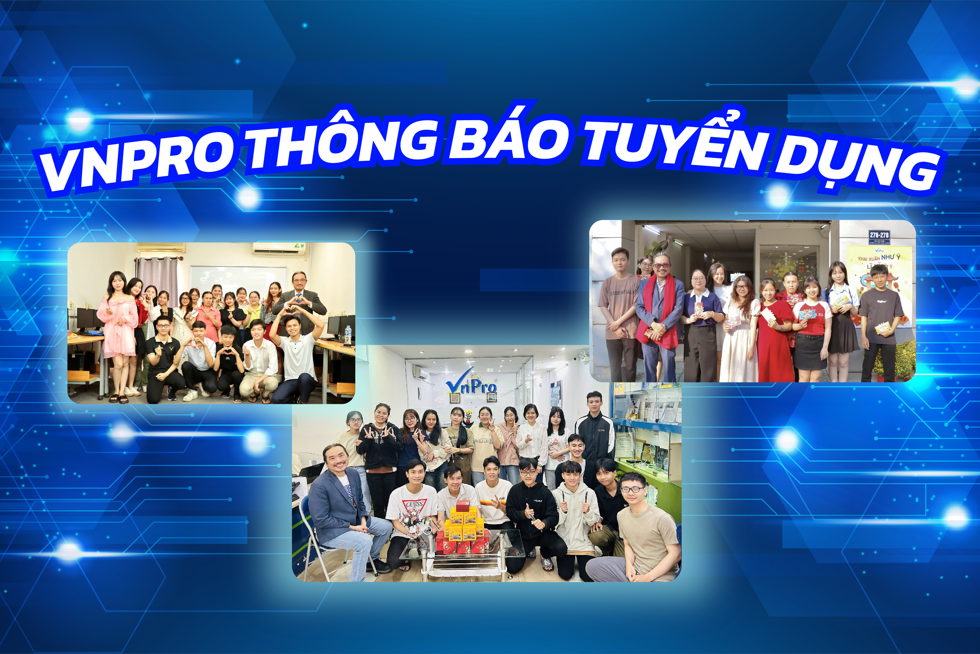 lĩnh vực hoạt động